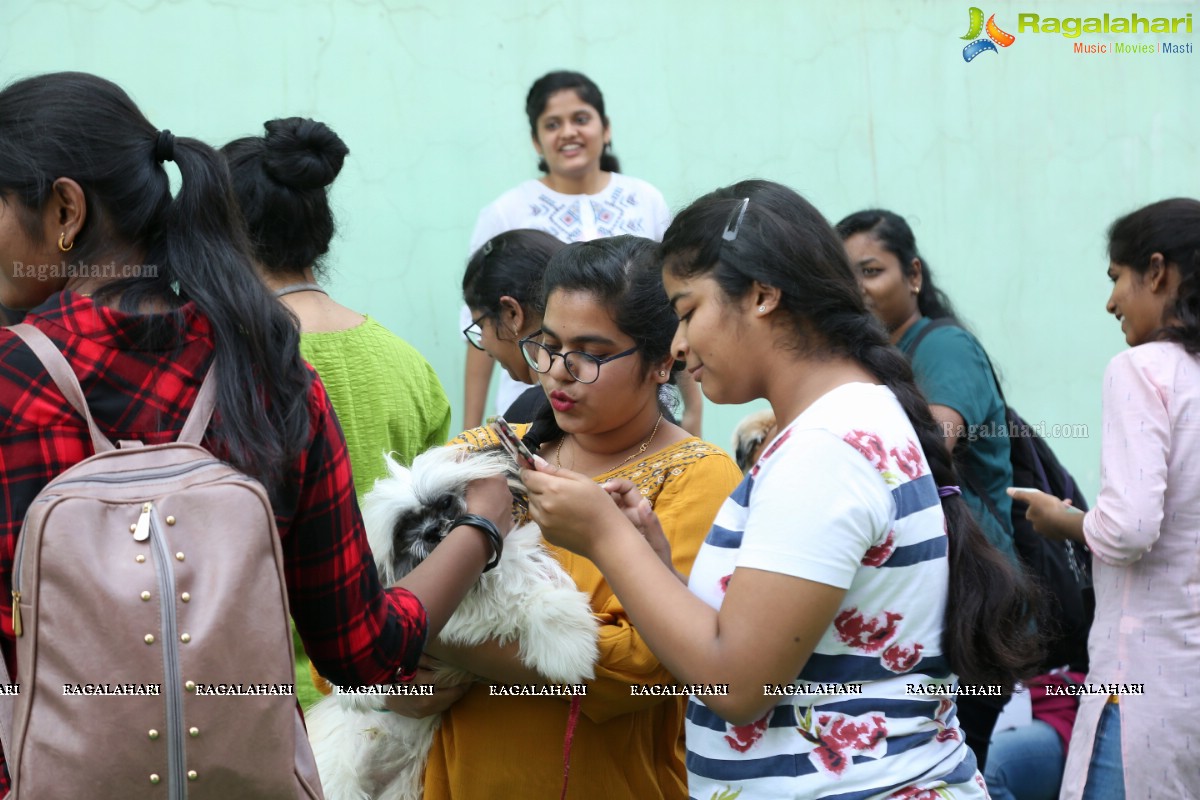 Prakriti Club Hosts Avani 2K19 - Reboot Rethink Reverberate 