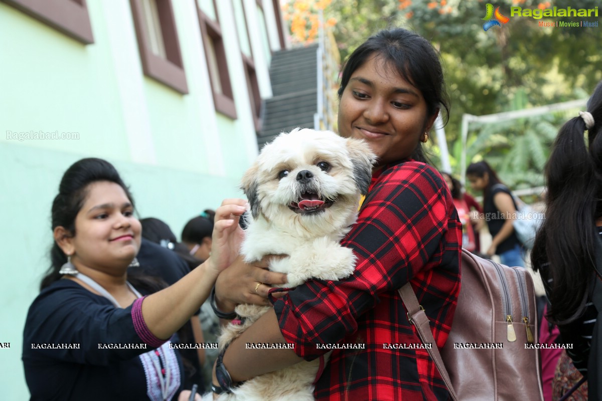 Prakriti Club Hosts Avani 2K19 - Reboot Rethink Reverberate 