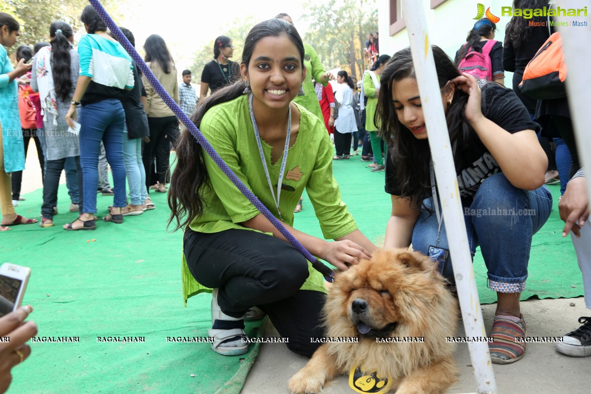 Prakriti Club Hosts Avani 2K19 - Reboot Rethink Reverberate 