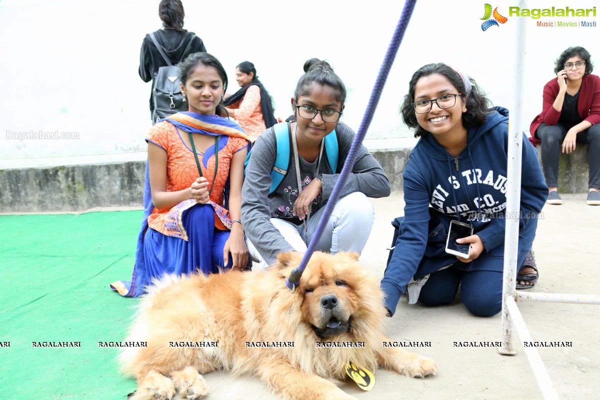 Prakriti Club Hosts Avani 2K19 - Reboot Rethink Reverberate 