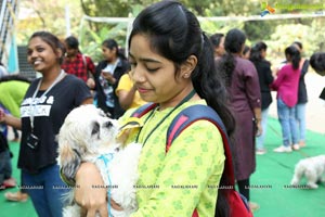 Prakriti Club Hosts Avani 2K19