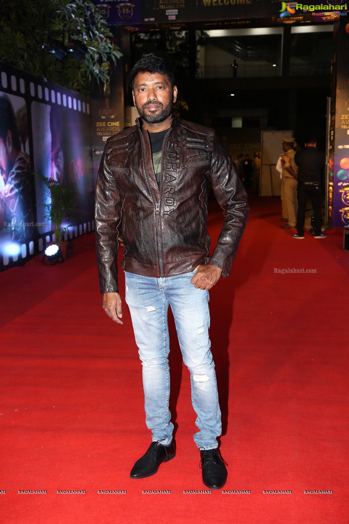 Zee Cine Awards Telugu 2018 at Kotla Vijay Bhaskar Reddy Indoor Stadium