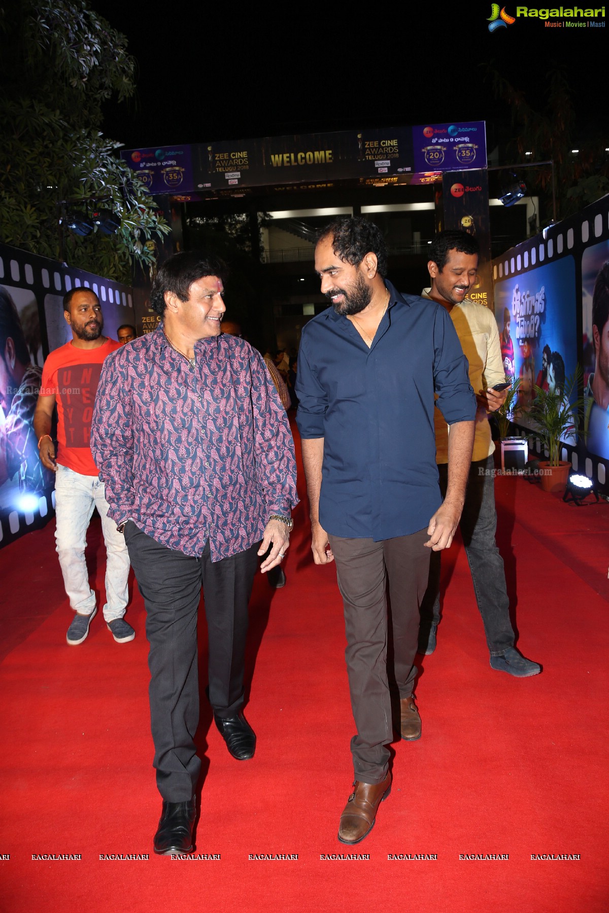 Zee Cine Awards Telugu 2018 at Kotla Vijay Bhaskar Reddy Indoor Stadium