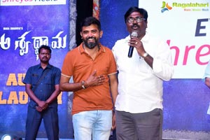 Aswathama Audio Launch