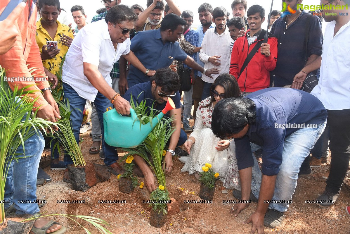 Bellamkonda Sai Sreenivas Birthday Celebrations 2020