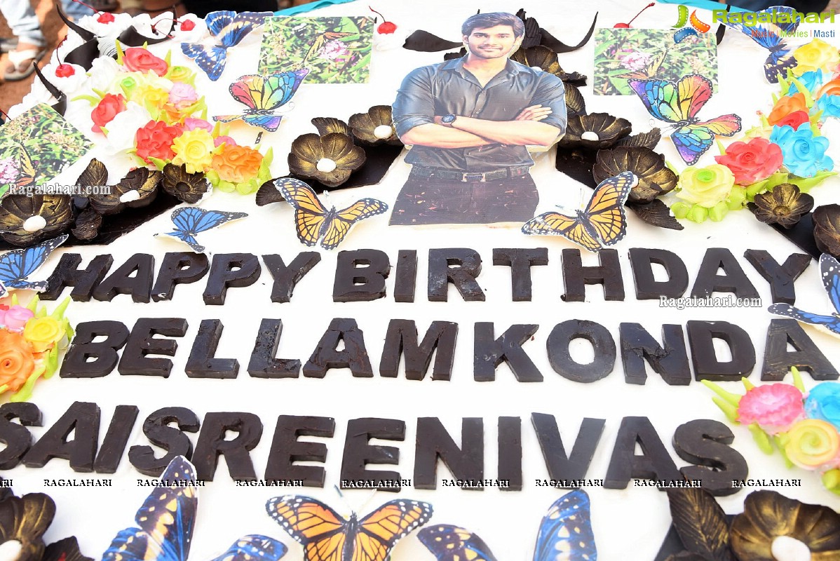 Bellamkonda Sai Sreenivas Birthday Celebrations 2020