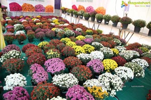 All India Horticulture Agri and Nursery Mela