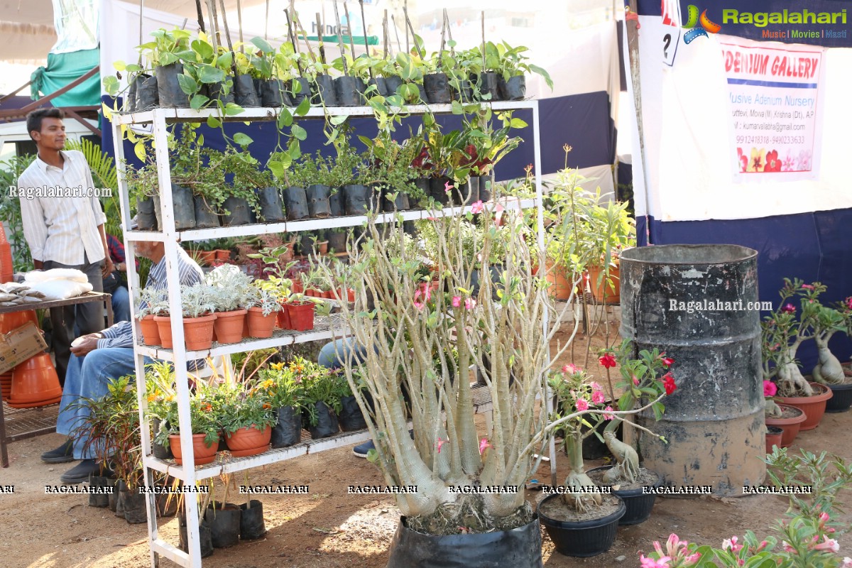 All India Horticulture Agri and Nursery Mela 8th Edition at People’s Plaza