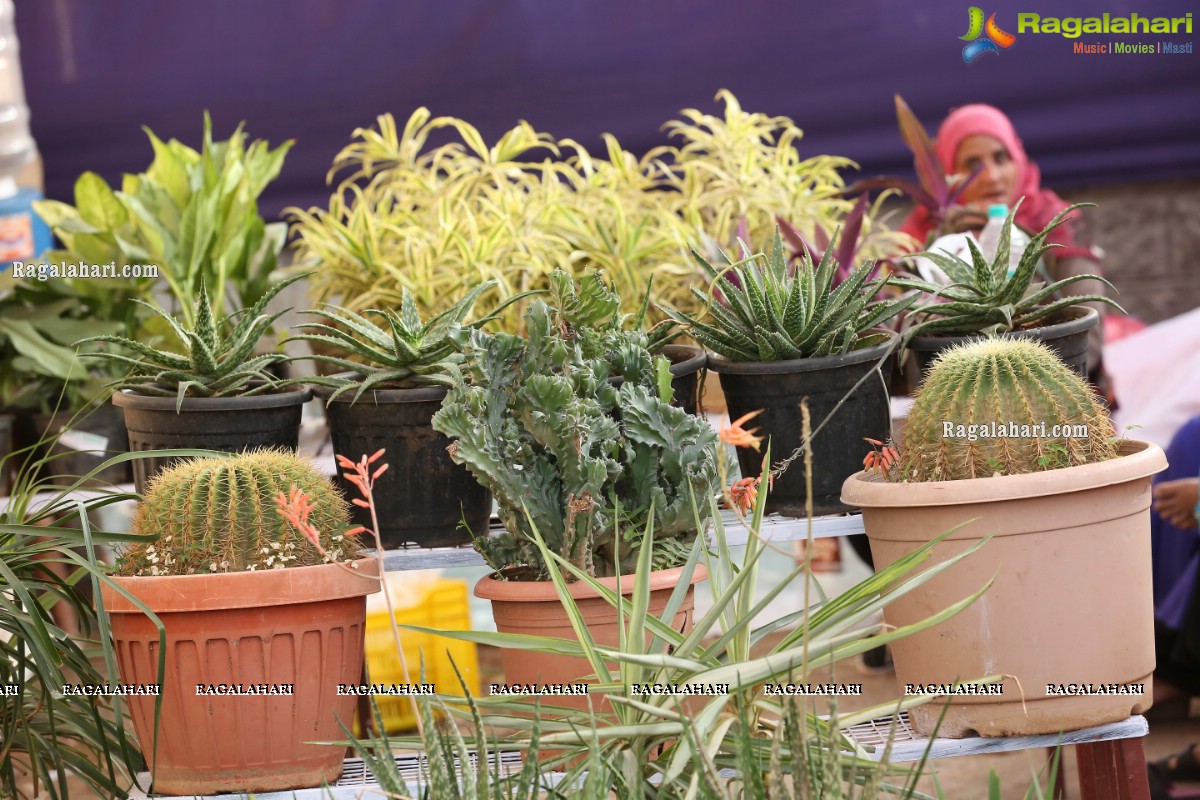 All India Horticulture Agri and Nursery Mela 8th Edition at People’s Plaza