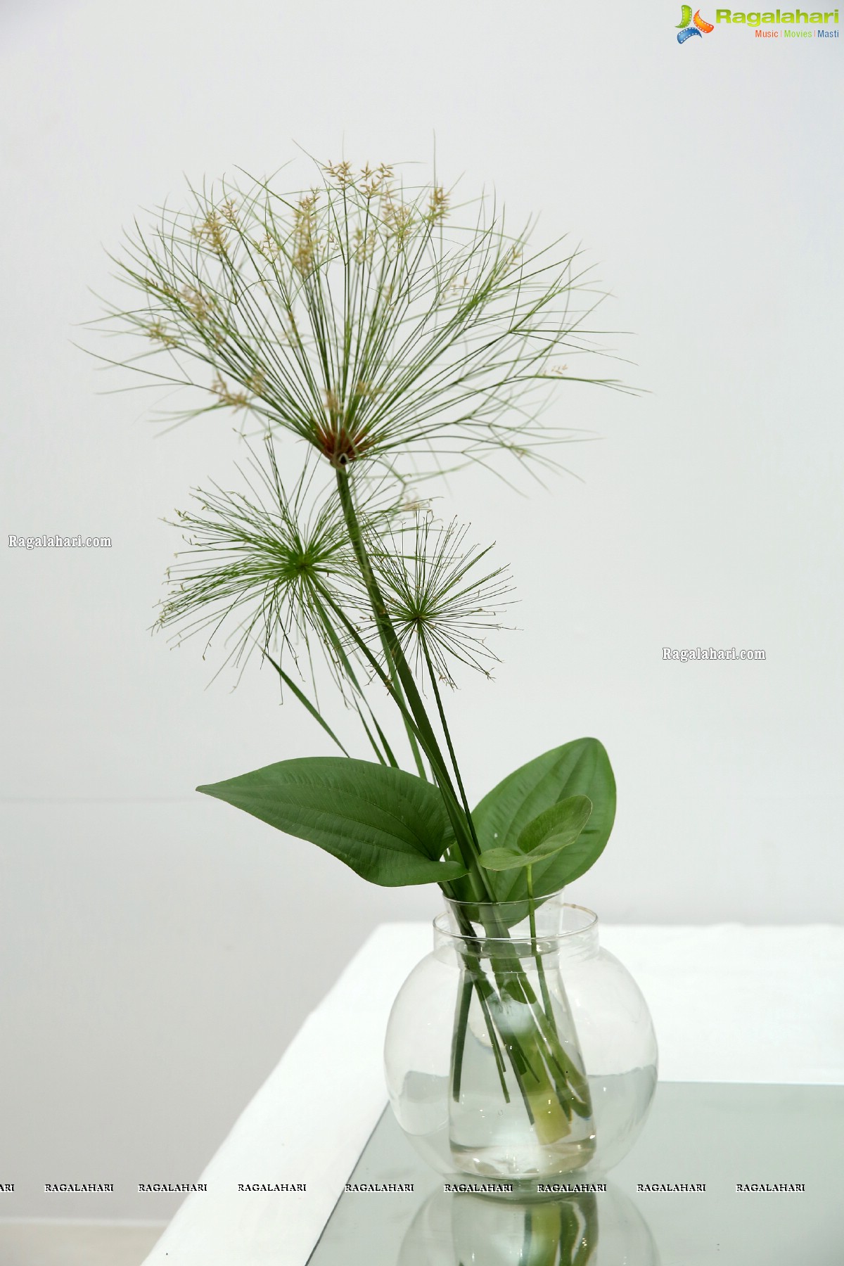 The Essence of Aesthetics in Ikebana at Dhi Art Space