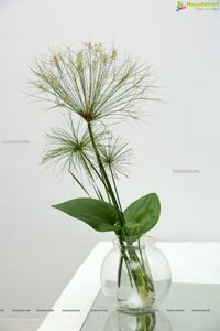 The Essence of Aesthetics in Ikebana at Dhi Art Space