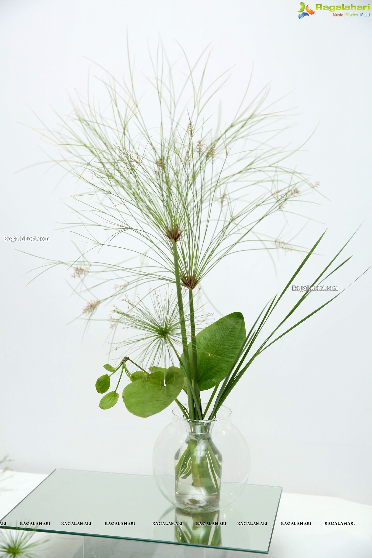 The Essence of Aesthetics in Ikebana at Dhi Art Space