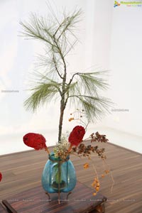The Essence of Aesthetics in Ikebana at Dhi Art Space
