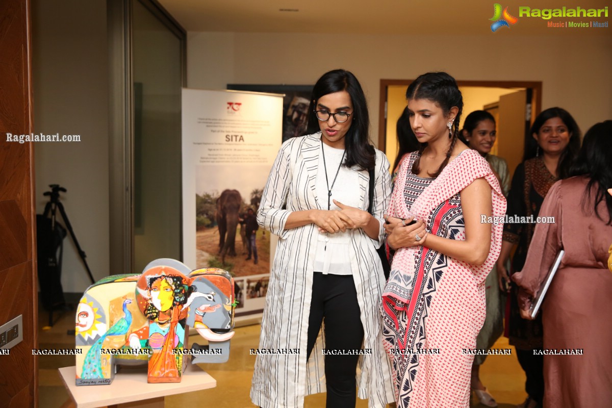 Gaja, An exhibition of painted Elephant Sculptures at Bangur House, Hyderabad