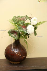 Ikebana Annual Exhibition 'Ferns And Petals'