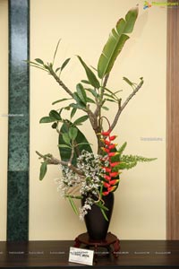 Ikebana Annual Exhibition 'Ferns And Petals'