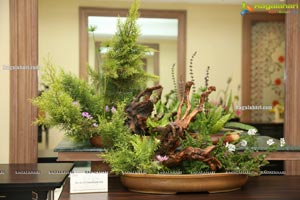 Ikebana Annual Exhibition 'Ferns And Petals'