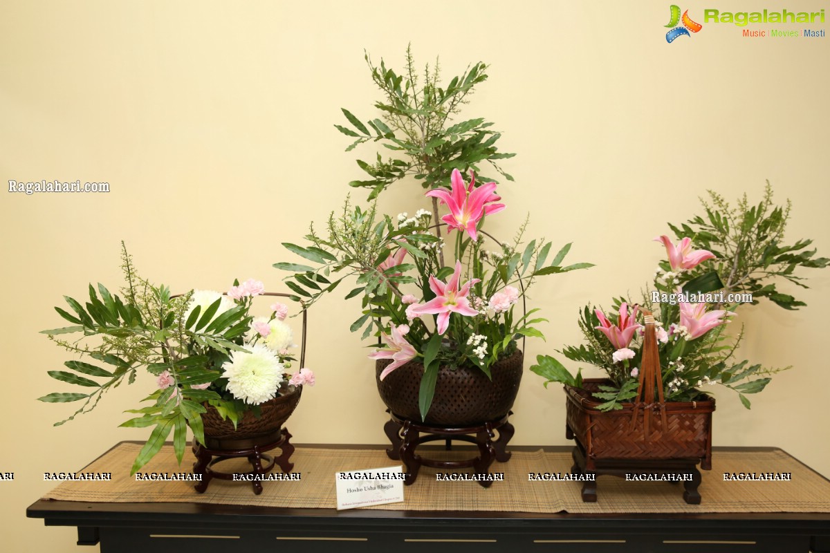 Ikebana International Hyderabad Chapter #250 Ferns And Petals Annual Ikebana Exhibition