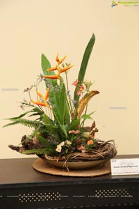 Ikebana Annual Exhibition 'Ferns And Petals'