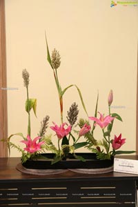 Ikebana Annual Exhibition 'Ferns And Petals'