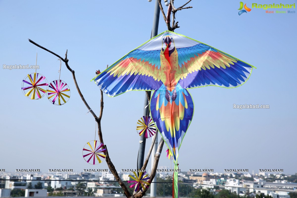 Lions Club of Hyderabad Petals Sankranti Kite Flying at Fat Pigeon