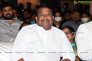 30 Rojullo Preminchadam Ela Movie Pre-Release Event