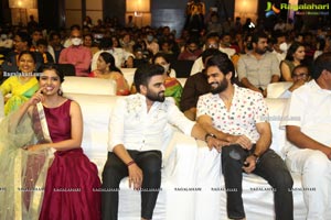 30 Rojullo Preminchadam Ela Movie Pre-Release Event