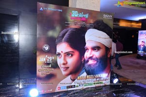 30 Rojullo Preminchadam Ela Movie Pre-Release Event