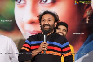 30 Rojullo Preminchadam Ela Movie Press Meet