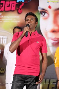 30 Rojullo Preminchadam Ela Movie Press Meet