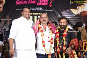 30 Rojullo Preminchadam Ela Movie Succes Meet