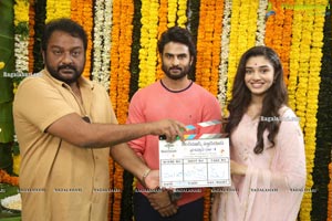 Sudheer Babu, Mohanakrishna Indraganti's New Movie Launch