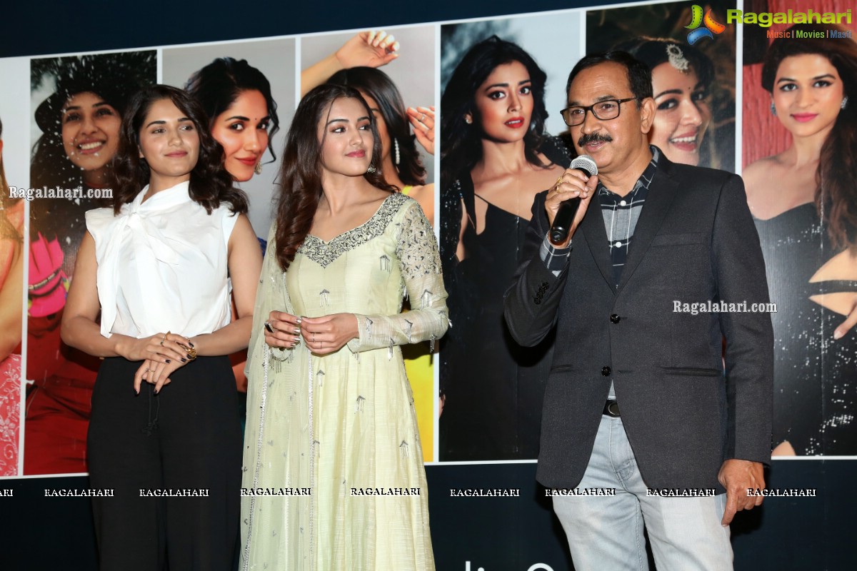 My South Diva Calendar 2021 Launch at Ramanaidu Studio Preview Theater