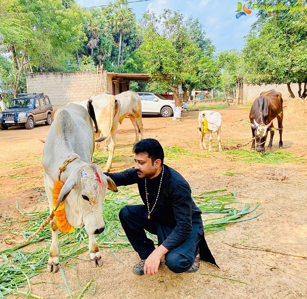 Siva Balaji Family Sankrathi Celebrations At Their Farm House