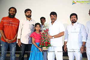 My Name Is Shruthi Movie First Look Launch