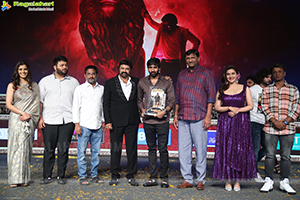 Veera Simha Reddy Success Celebrations