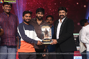 Veera Simha Reddy Success Celebrations