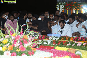 Jr NTR, Kalyan Ram and NBK Pays Tribute to Sr NTR