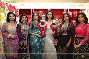 Grand Launch of Hi Life Festival Special Exhibition