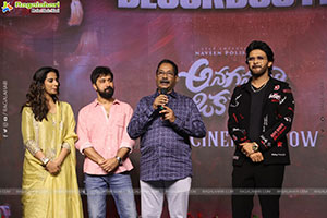 Anaganaga Oka Raju Movie Blockbuster Success Meet 