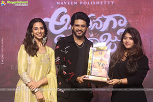 Anaganaga Oka Raju Movie Blockbuster Success Meet 