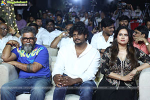 Anaganaga Oka Raju Movie Blockbuster Success Meet 