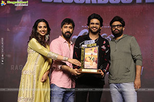 Anaganaga Oka Raju Movie Blockbuster Success Meet 