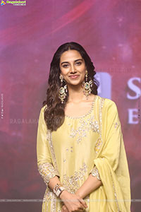 Anaganaga Oka Raju Movie Blockbuster Success Meet 