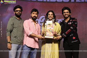Anaganaga Oka Raju Movie Blockbuster Success Meet 