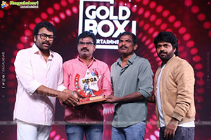 Mana Shankara Varaprasad Garu Movie All Time Industry Hit 