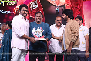 Mana Shankara Varaprasad Garu Movie All Time Industry Hit 