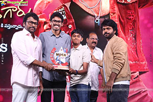 Mana Shankara Varaprasad Garu Movie All Time Industry Hit 