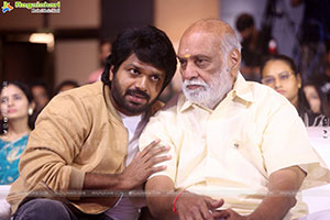 Mana Shankara Varaprasad Garu Movie All Time Industry Hit 