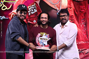 Mana Shankara Varaprasad Garu Movie All Time Industry Hit 